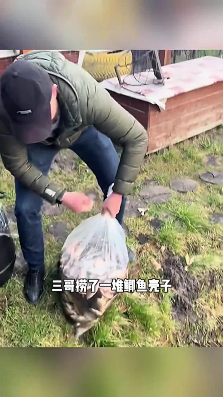 放生鲫鱼,太浪费了