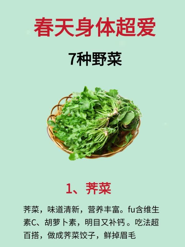 春天身体超爱的7种野菜