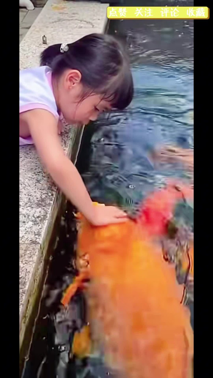 我以前一直以为抱鱼的年画娃娃是使用了夸张的手法