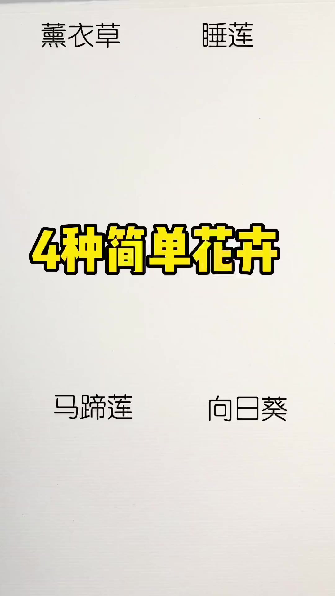 几种非常简单的小花,画起来轻松又好看,收藏起来慢慢练吧～