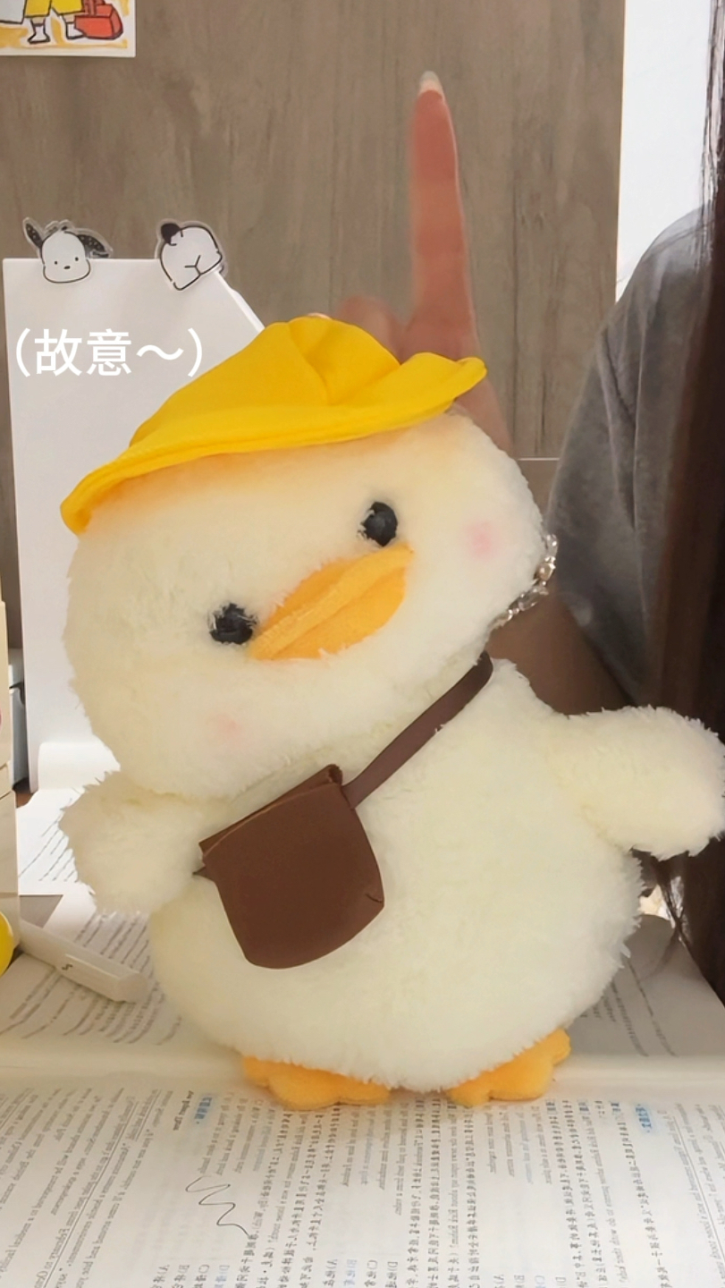 好乖好听话的呆头鸭宝宝~