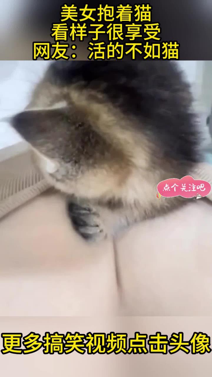 美女抱着猫,看样子很享受,网友:活的不如猫!