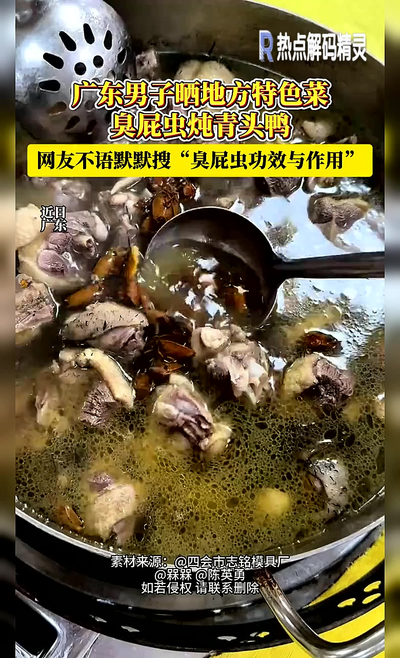 广东男子晒地方特色菜“臭屁虫炖青头鸭”……网友不语默默搜臭屁