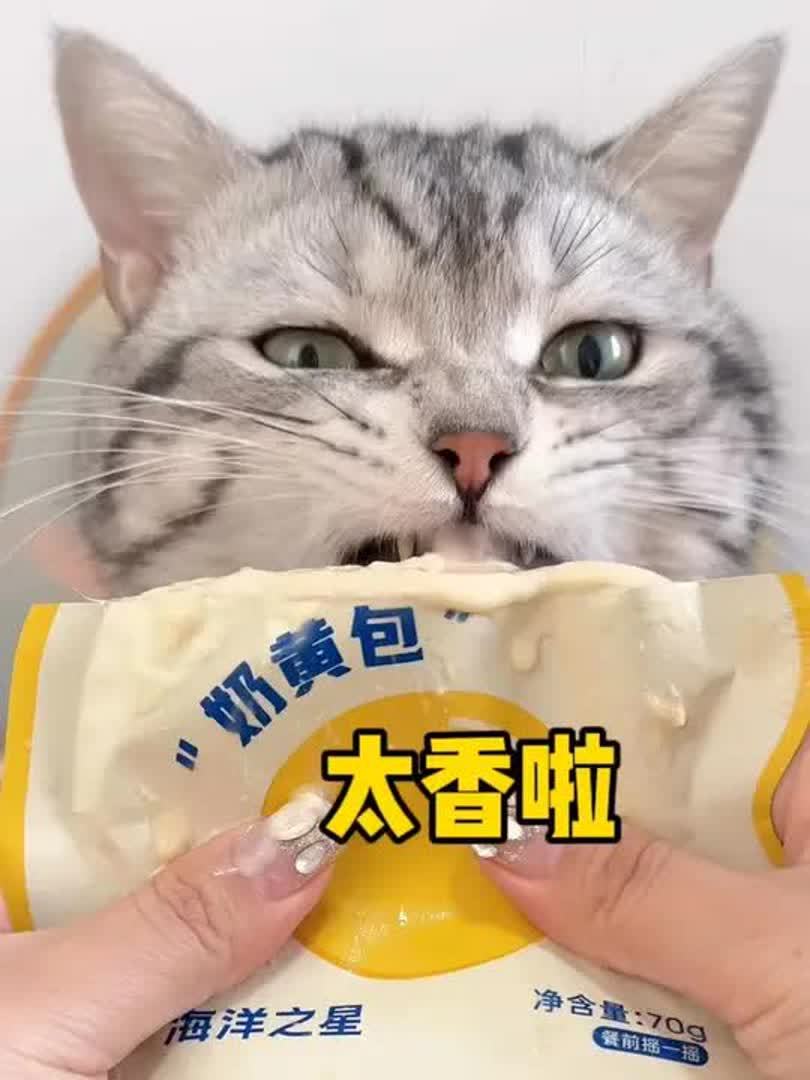 哪只小猫咪能拒绝这个有肉有蛋还有奶的奶黄包呀!太香了吧～嘎