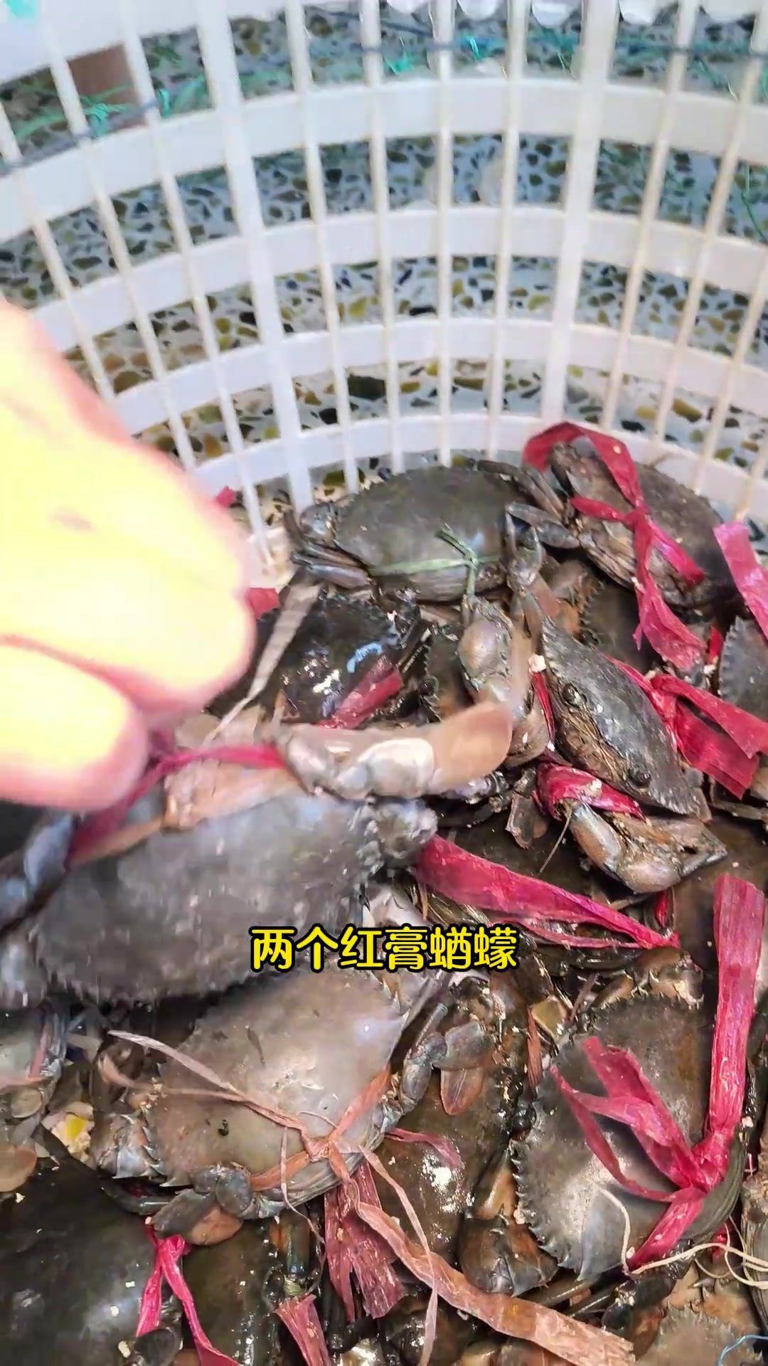 早知道这个外卖,我就不去菜场买了