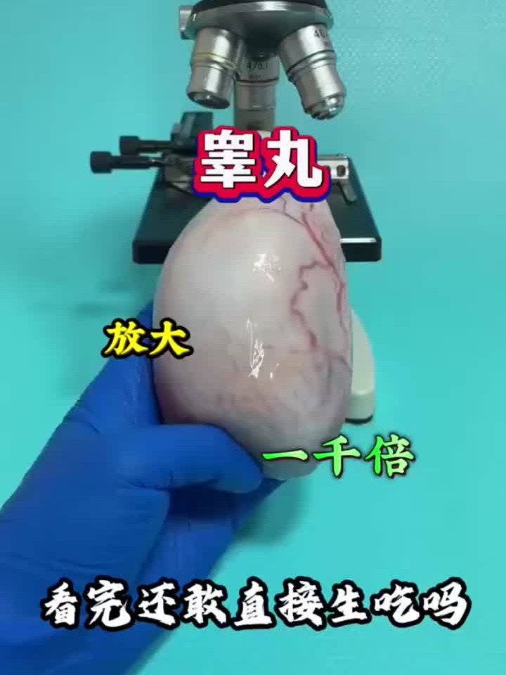 睾丸你喜欢生吃吗?