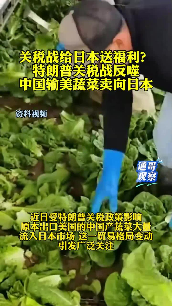 关税战给日本送福利?中国输美蔬菜卖向日本!