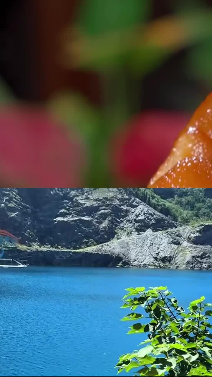 秋冬清蒸时蔬拼盘,锁鲜嫩超可口