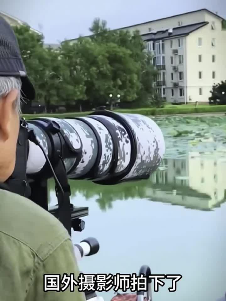 这鱼拿来做烤鱼一定很香吧