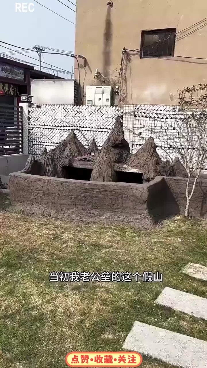 学好生物学还是有用的,老公直接给假山鱼池上了一个生态系统