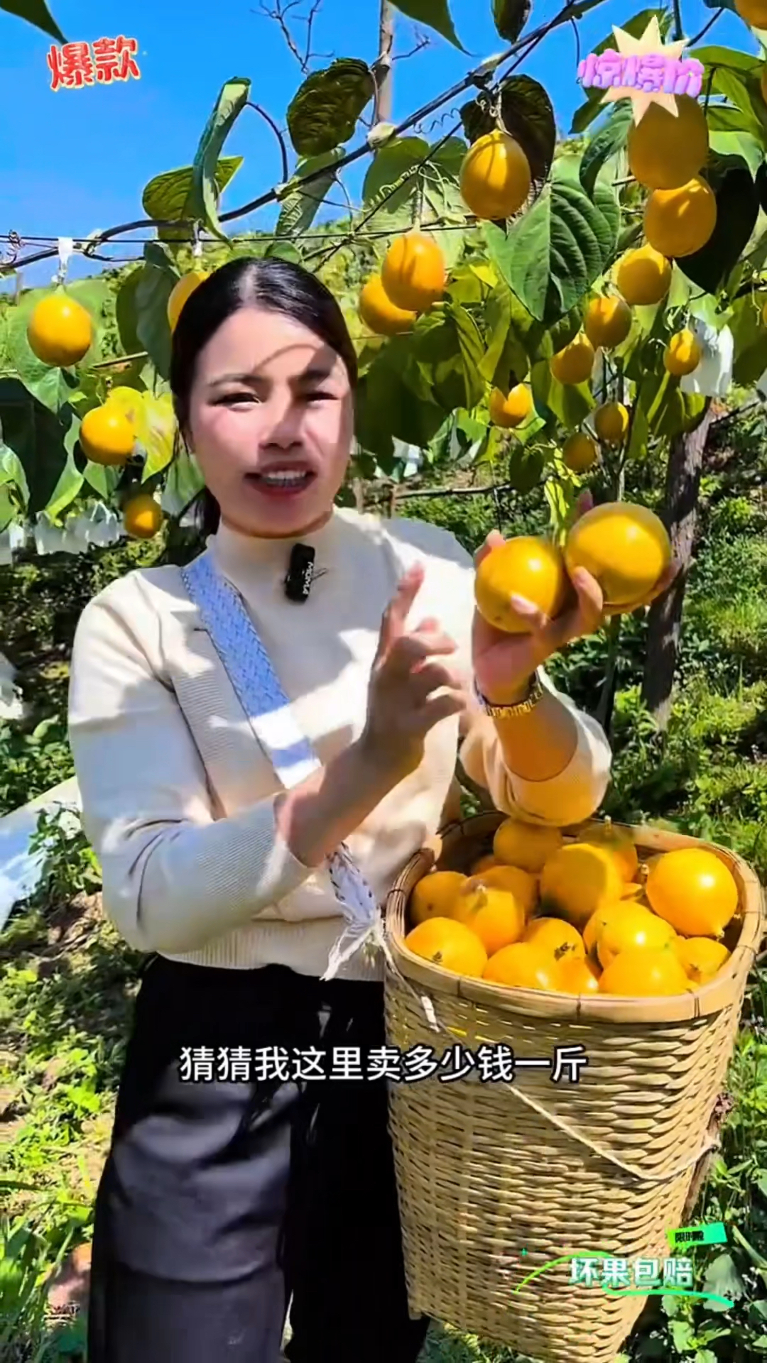 水果届的鱼子酱,长在树上的燕窝,了解热情果并爱上它,只需要尝一个