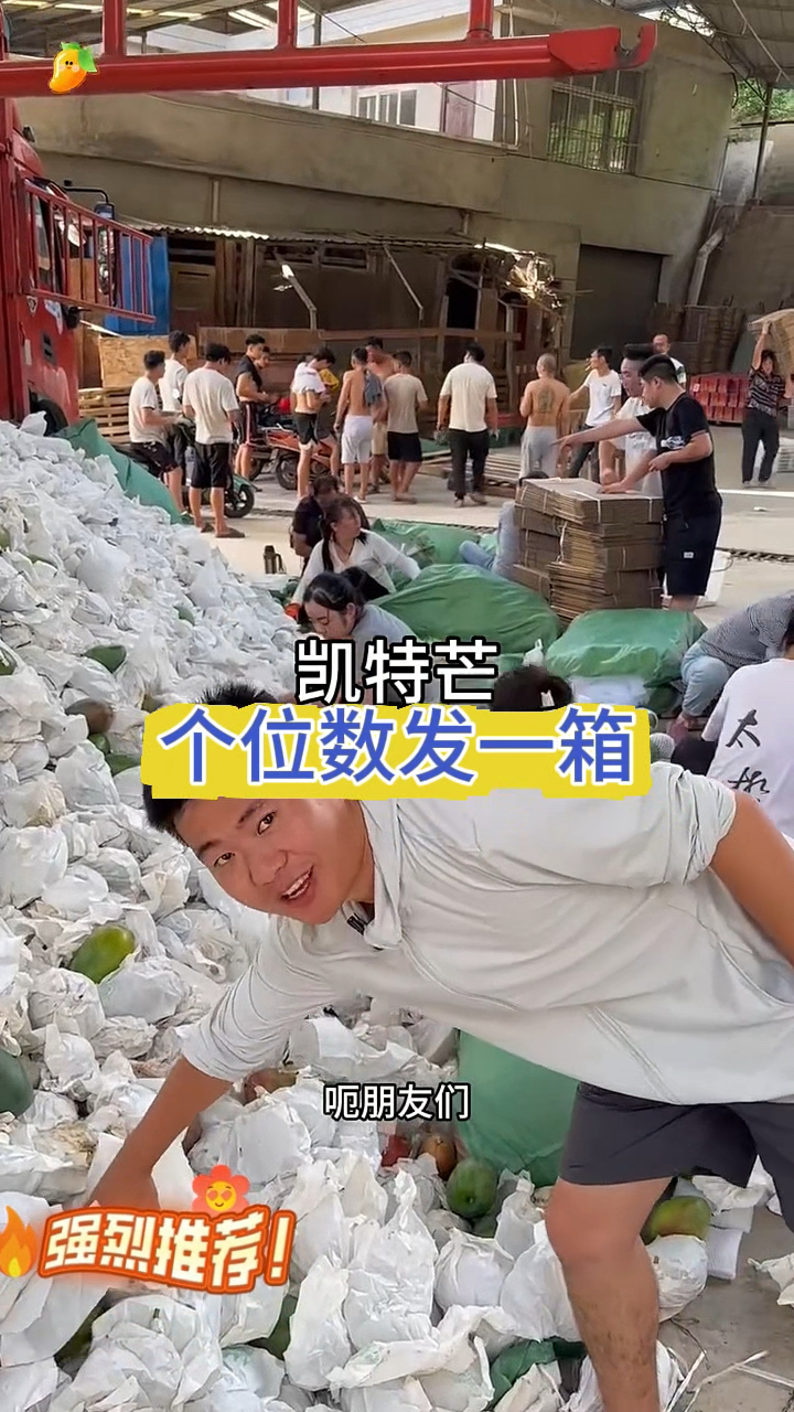 不怎么会拍视频,但是凯特大芒果真的很甜很好吃还便宜