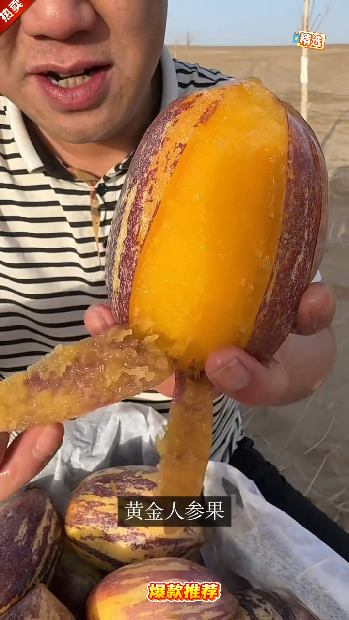 甘肃沙漠里有一种比脸还大的水果你们吃过吗？