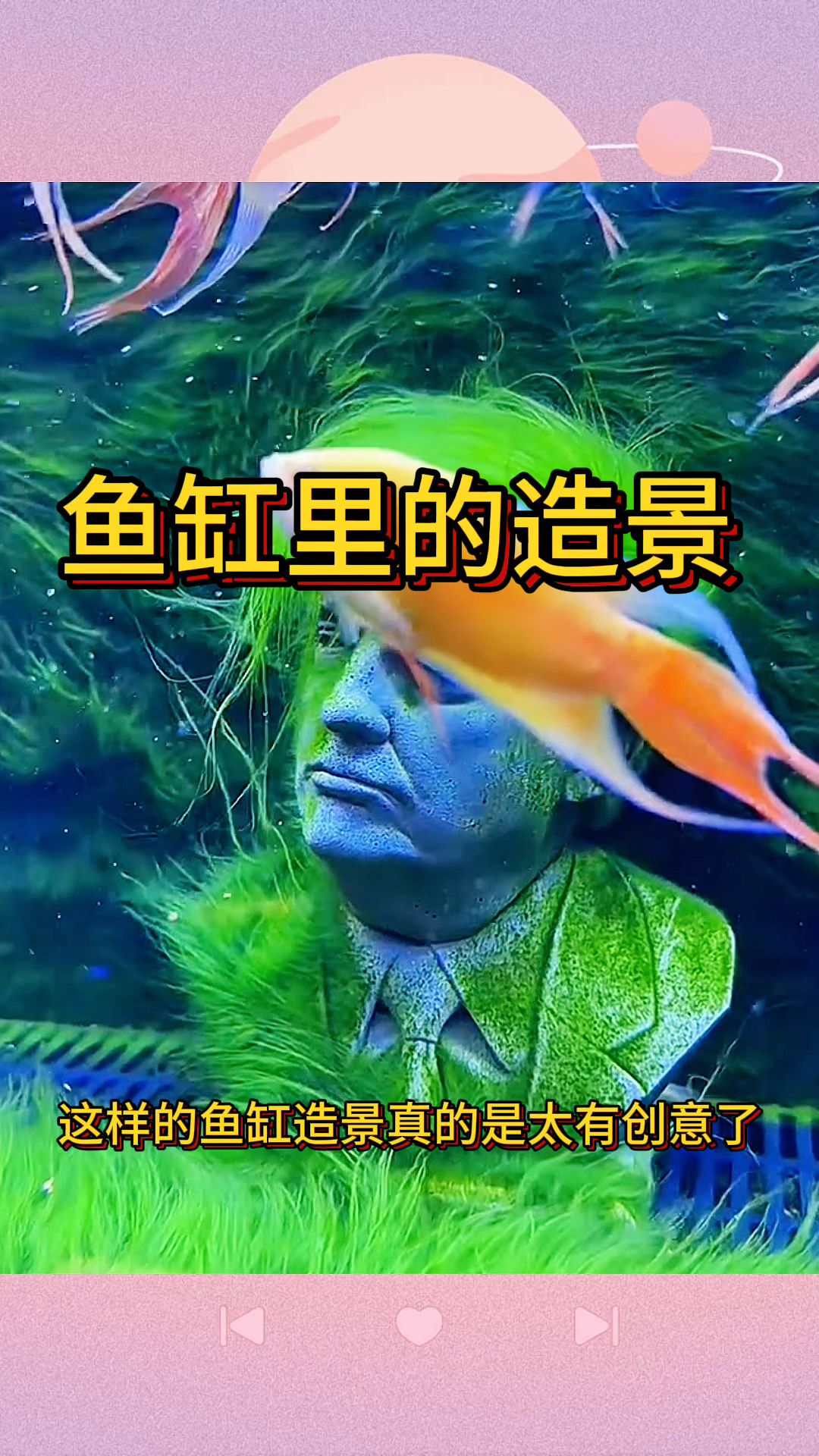 鱼缸里的造景,太有创意了