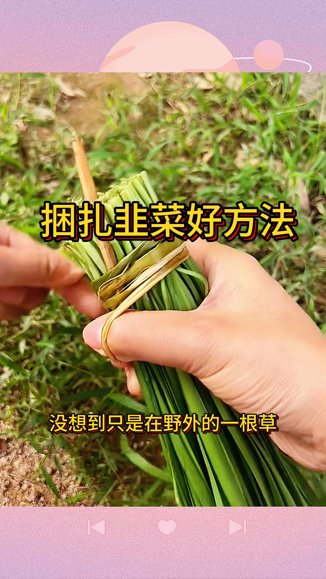 捆扎韭菜好方法，这一招太实用了
