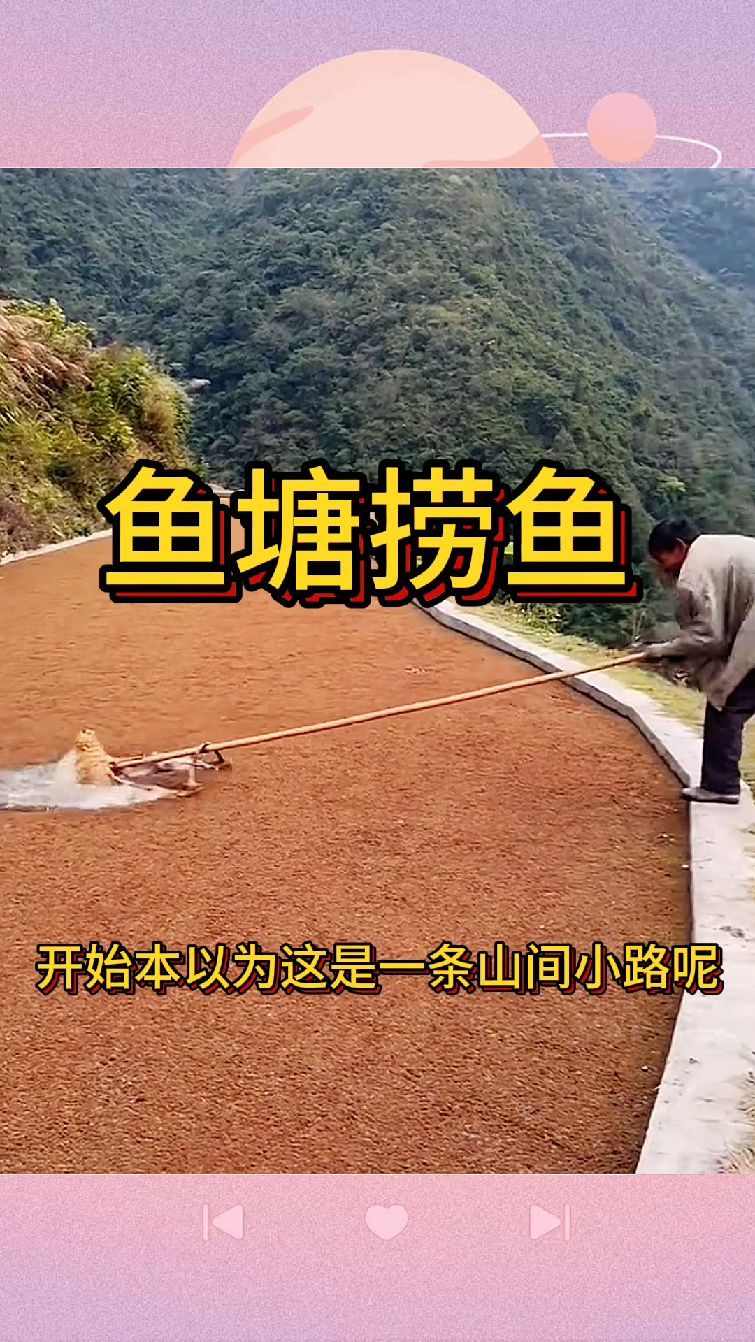 鱼塘捞鱼,结局出乎意料