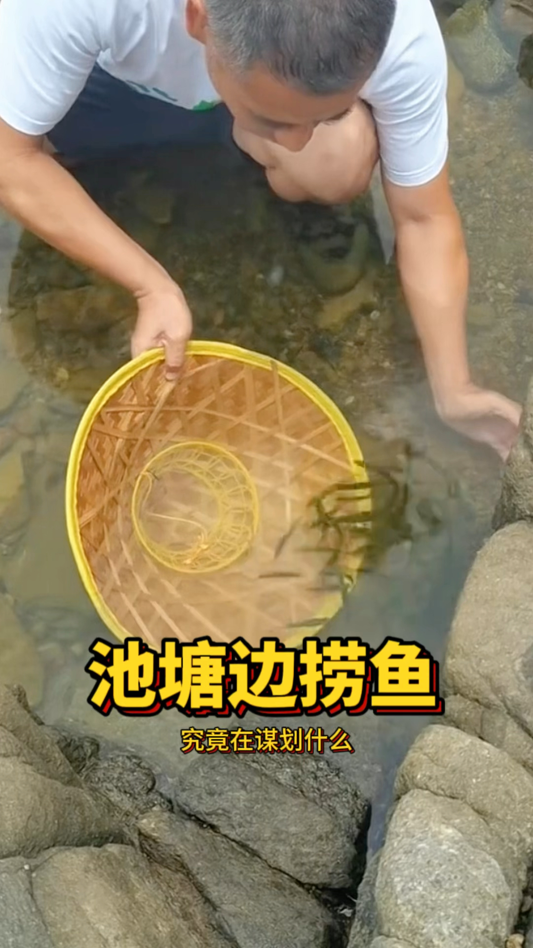 池塘边捞鱼,男子用帽子做捞鱼工具!