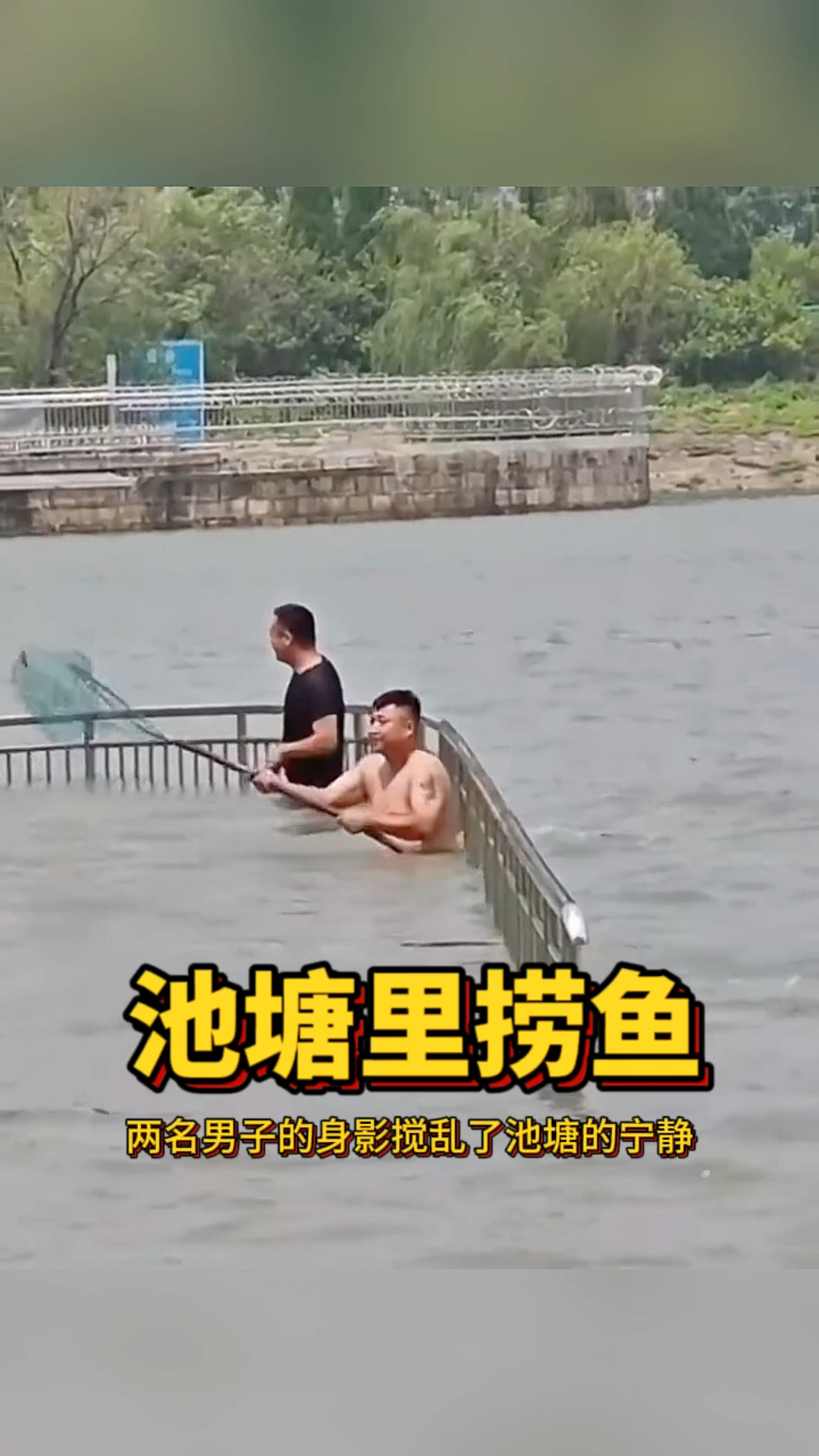池塘里捞鱼,过程超有趣!