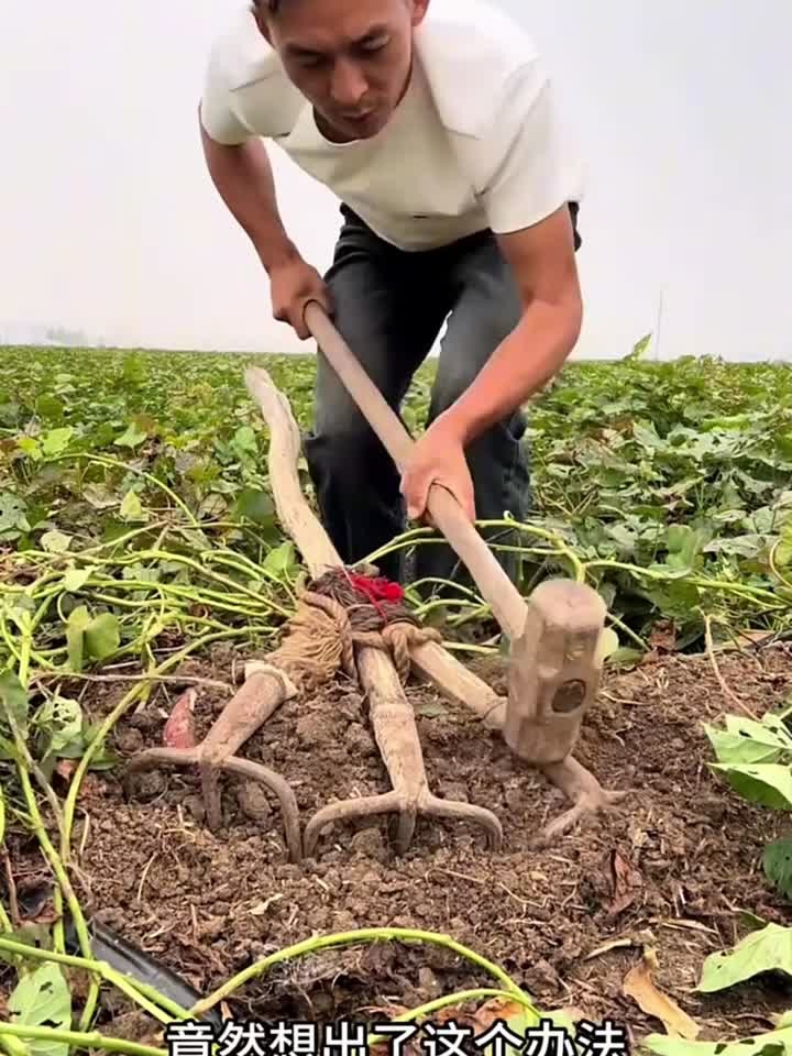 男子太有才了,为了更方便的挖红薯,发明了这个工具