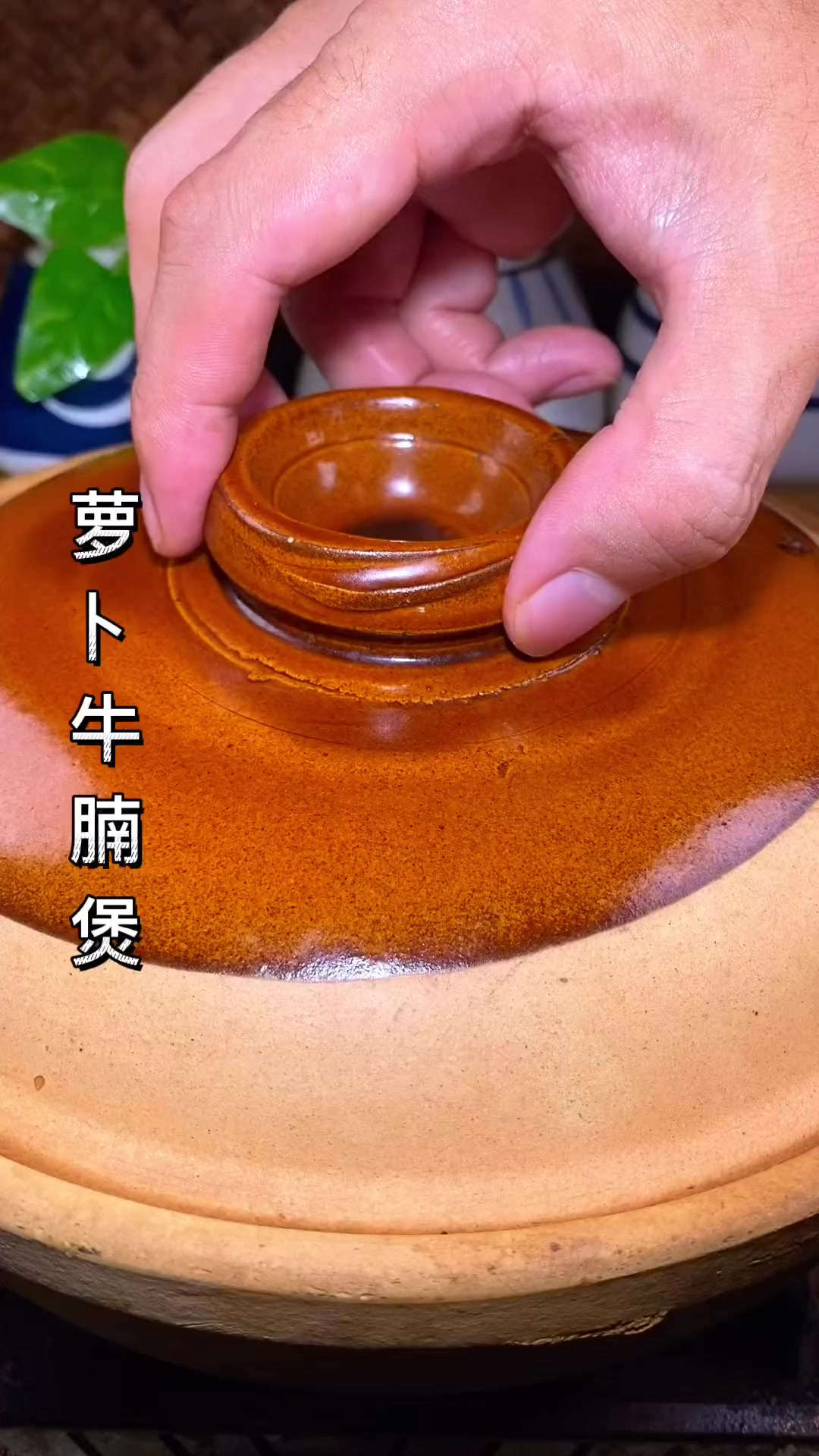 广式《萝卜焖牛腩》最正宗的做法