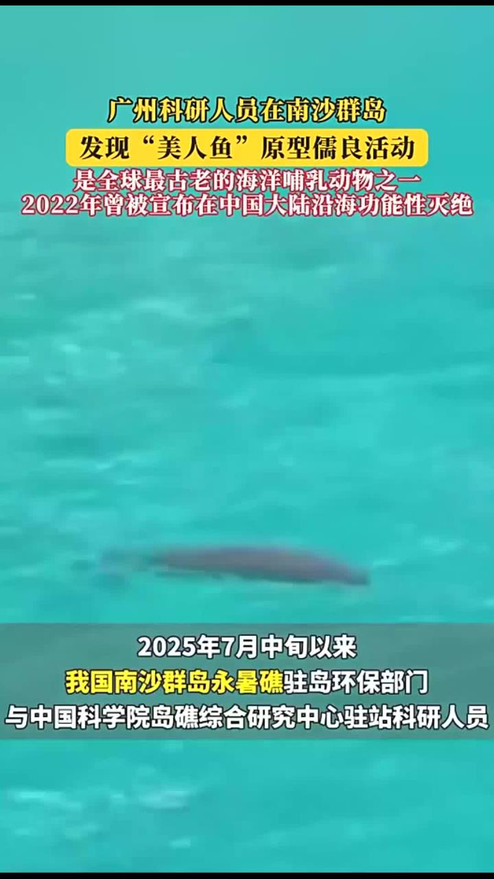 广州科研人员在南沙群岛!发现“美人鱼”原型儒良活动!