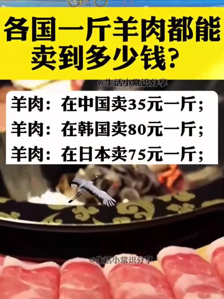 各国一斤羊肉多少钱