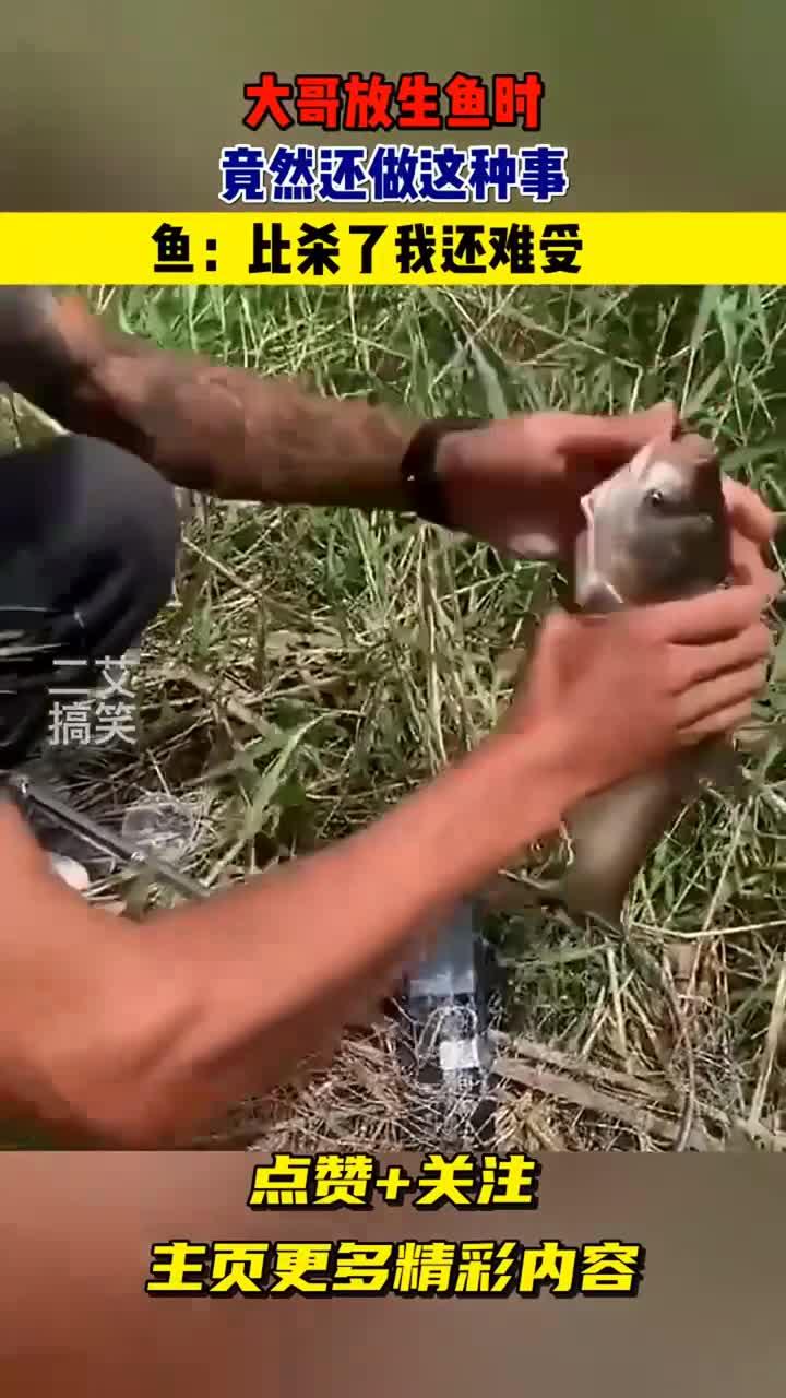 大哥放生鱼时，竟然还做这种事，鱼：比杀了我还难受