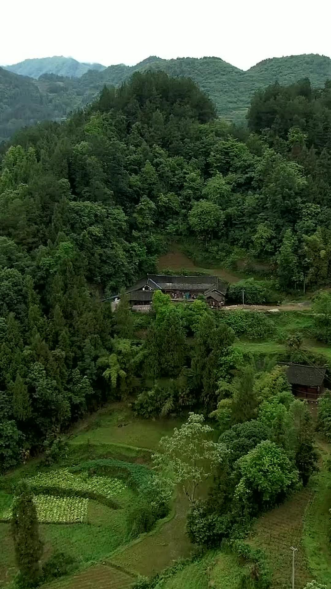 一户人家养黑狗有鱼塘