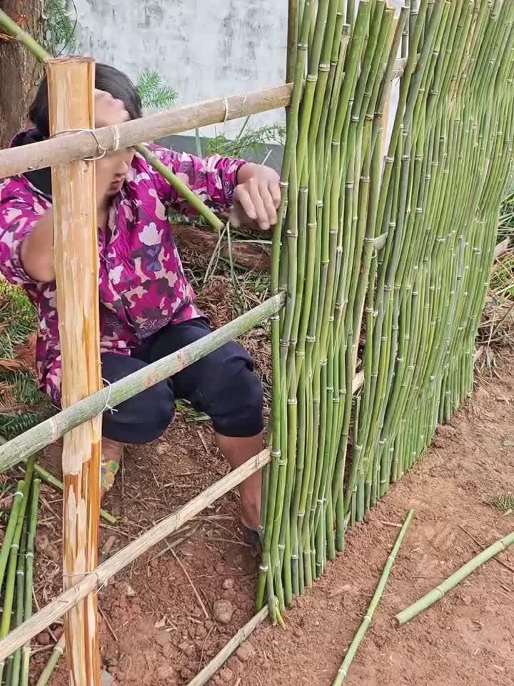 菜园围竹篱笆，编制技巧