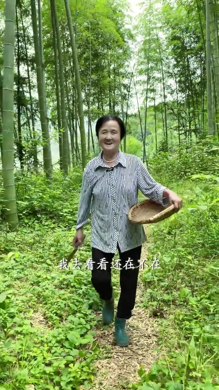 金蝉花炖鸡汤你们吃过吗,这个时候不妨去挖挖看