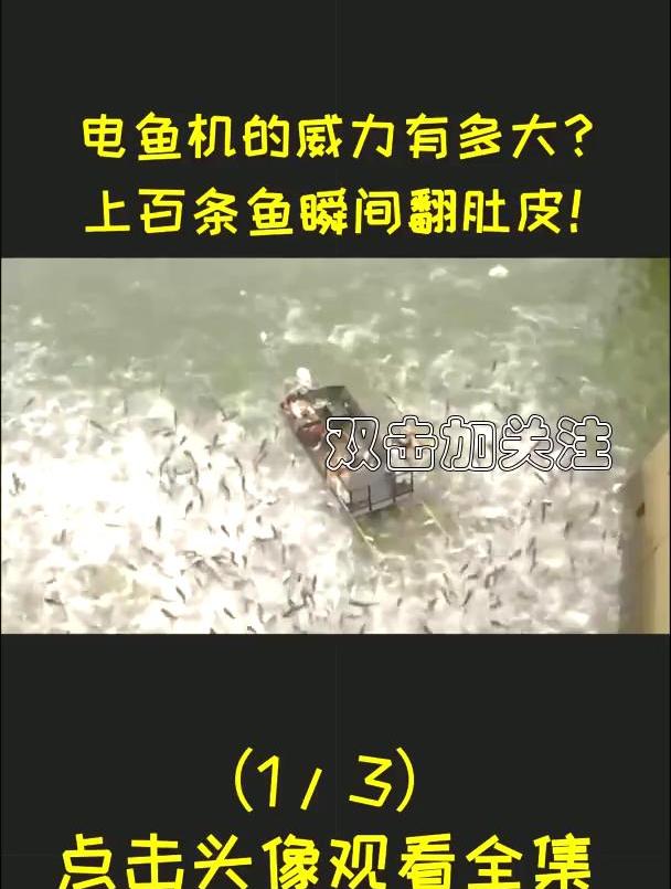 电鱼危害鱼生态捕鱼电鱼的危害有多大?为何电死一条鱼要被判重刑