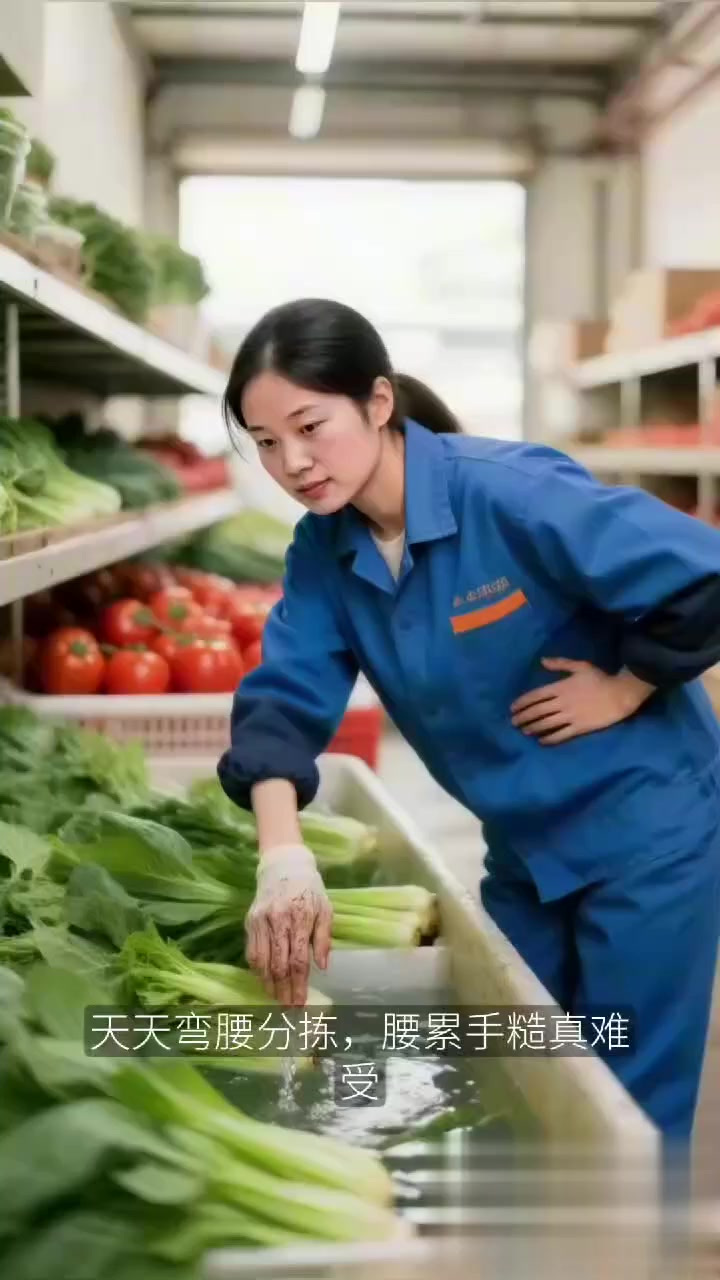 社区生鲜分拣员弯腰分菜腰累 + 手糙?红豆小米粥 + 靠墙静
