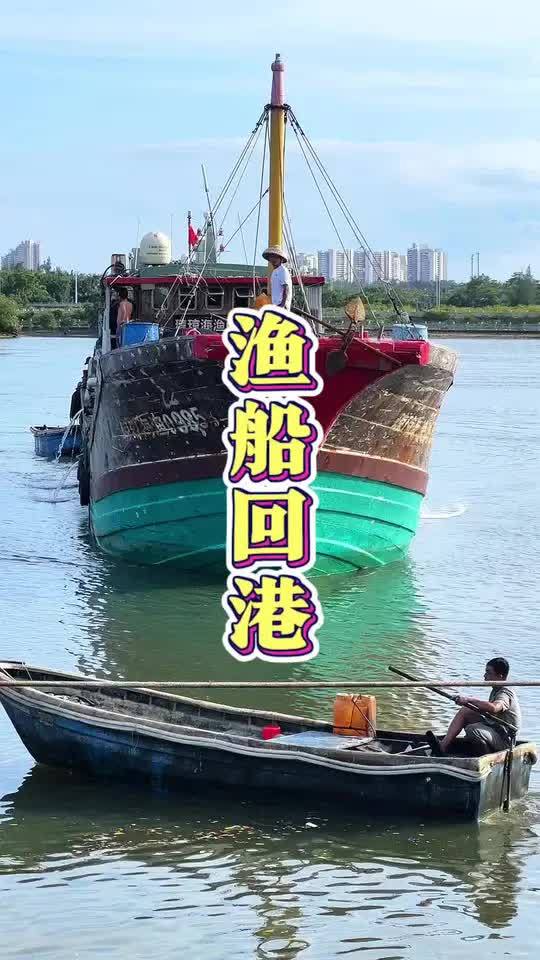 西沙回船，渔获大丰收，石斑鱼，珊瑚鱼品种多样，肉质细嫩，口感