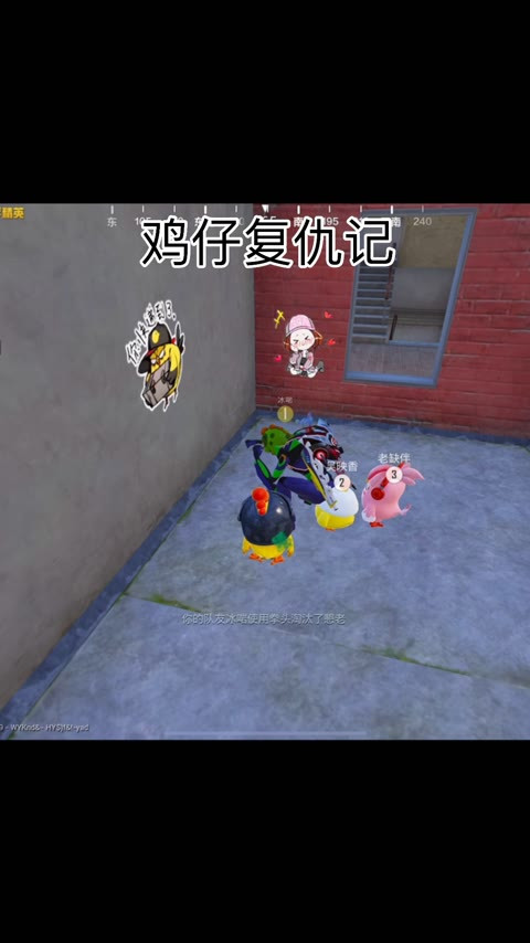 和平精英：鸡仔复仇！