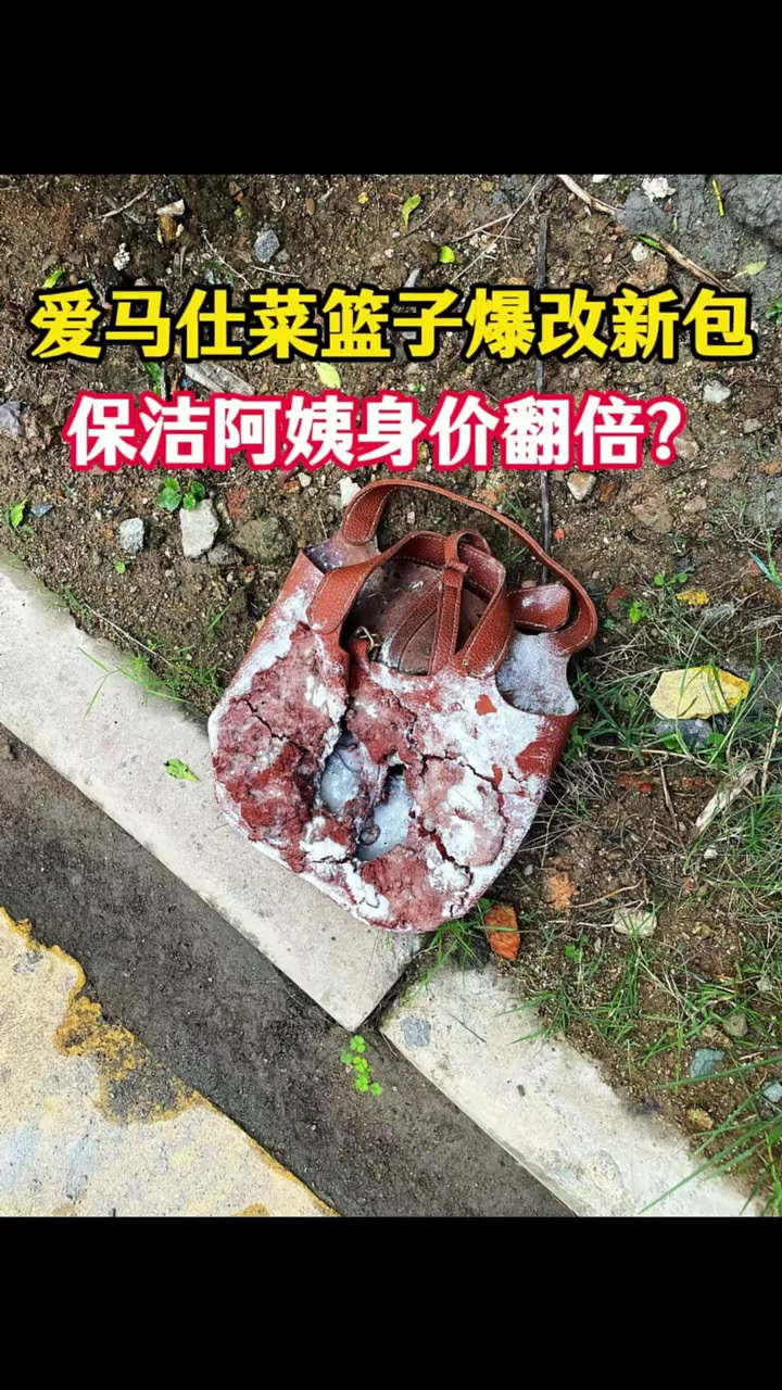 爱马仕菜篮子爆改新包,保洁阿姨身价翻倍?
