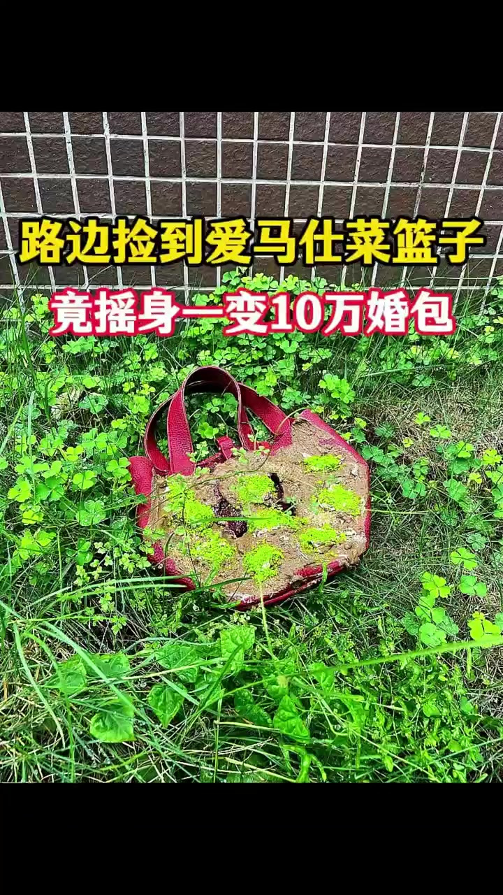 路边捡到爱马仕菜篮子,竟摇身一变10万婚包