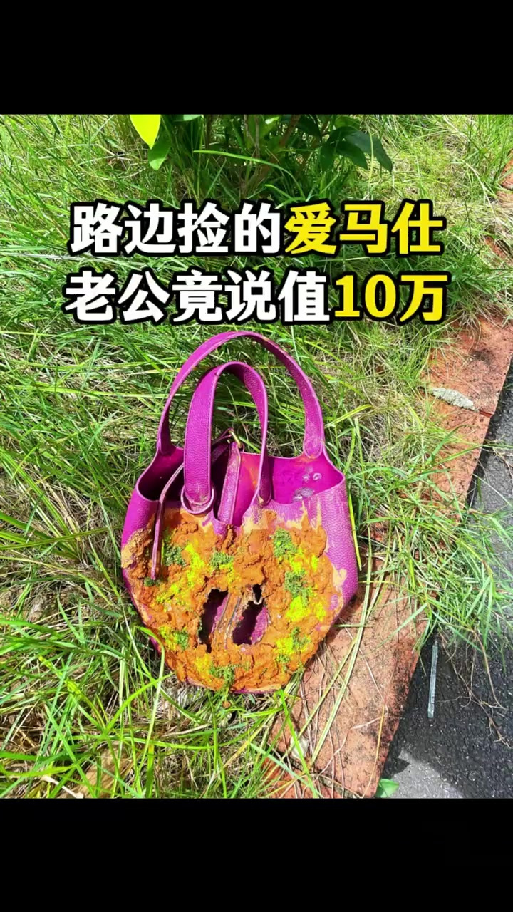 路边捡的爱马仕，老公竟说值10万！