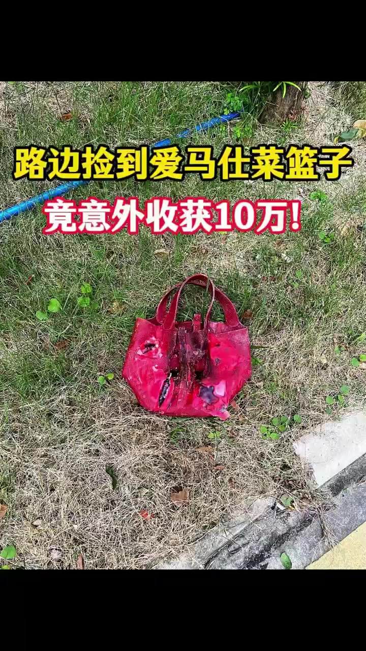 路边捡到爱马仕菜篮子，竟意外收获10万