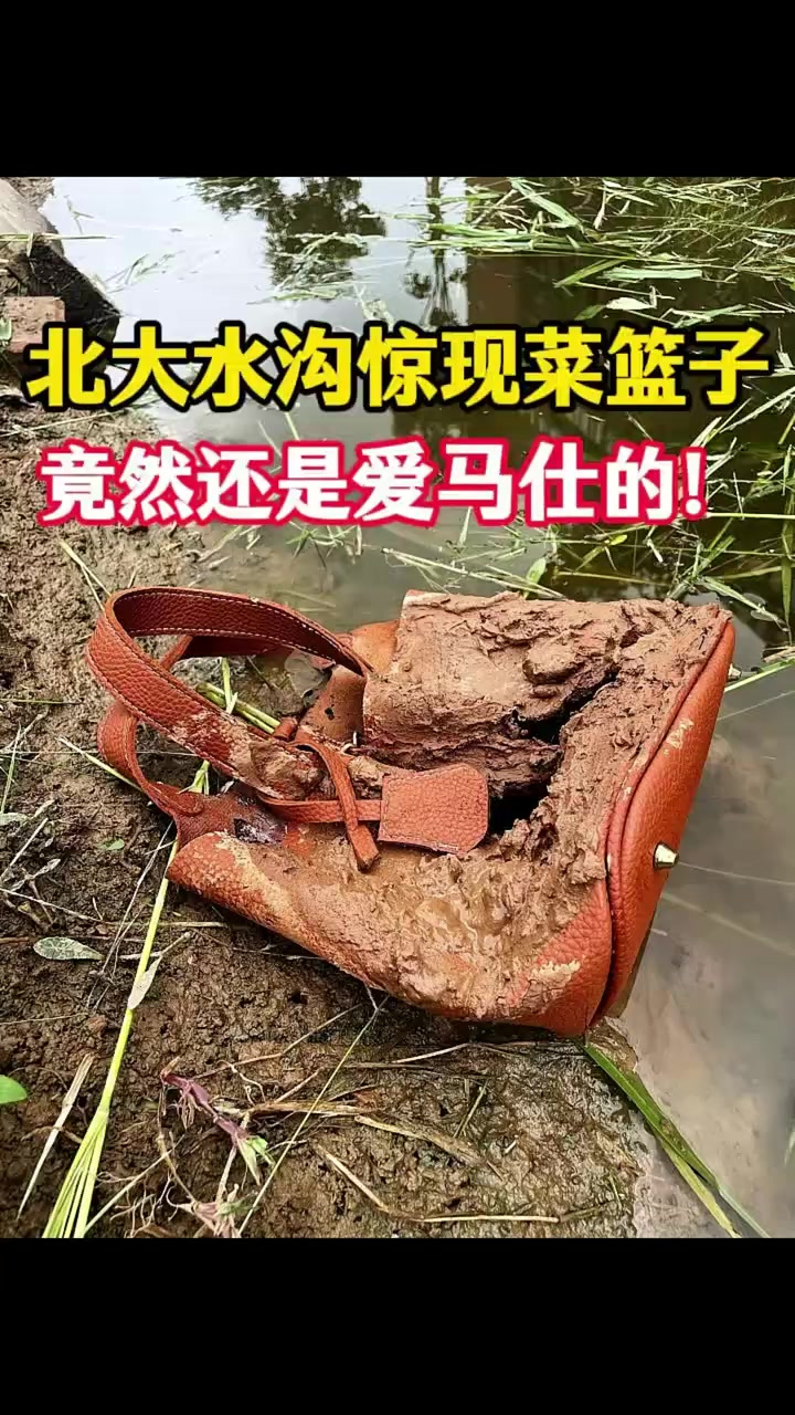北大水沟惊现菜篮子,竟然还是爱马仕的