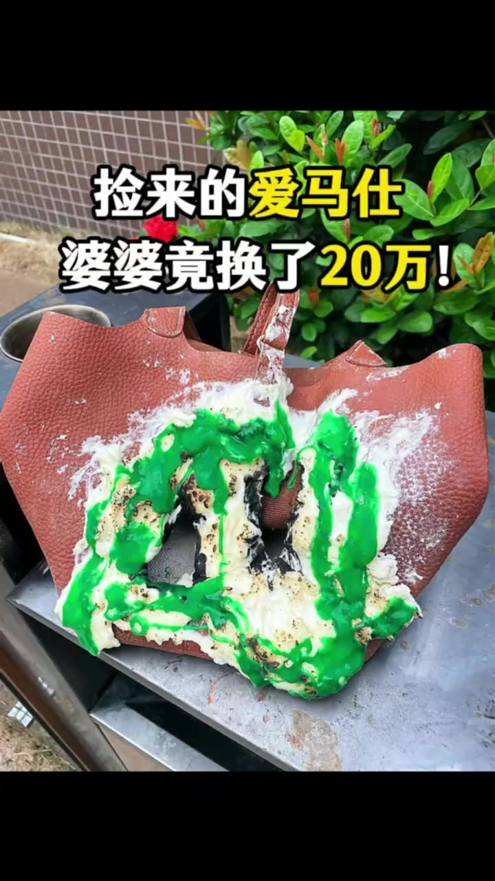 捡来的爱马仕，婆婆竟换了20万