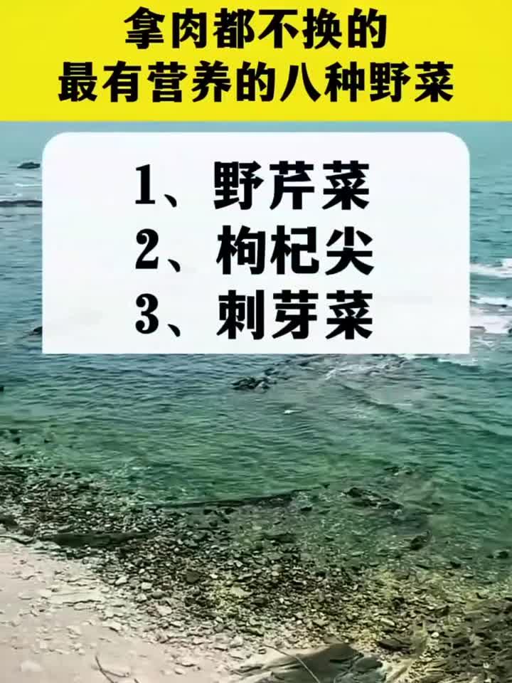 哪有都不换的最有营养的八种野菜