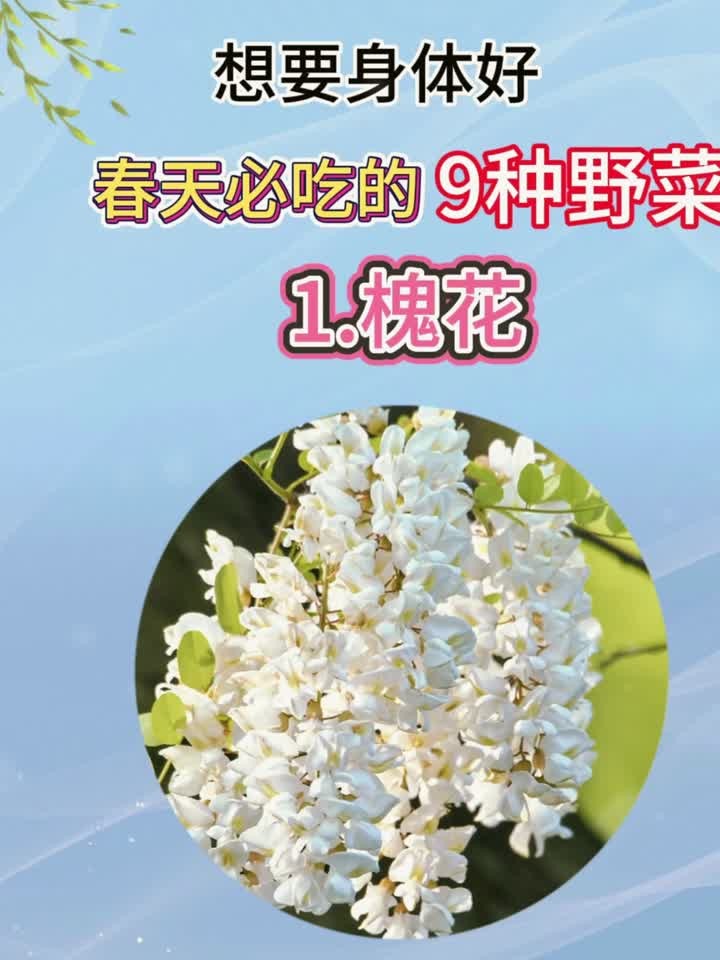 想要身体好，春天必吃的九种野菜