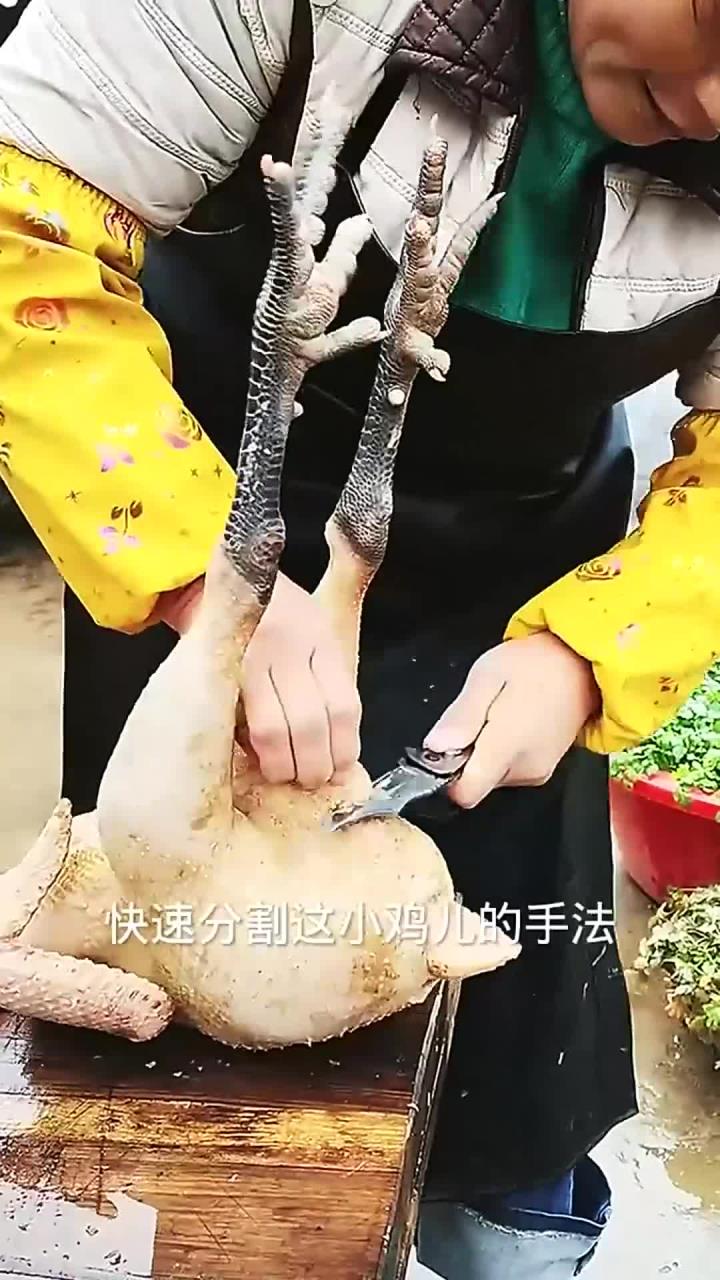 大姐快速分割小鸡的手法