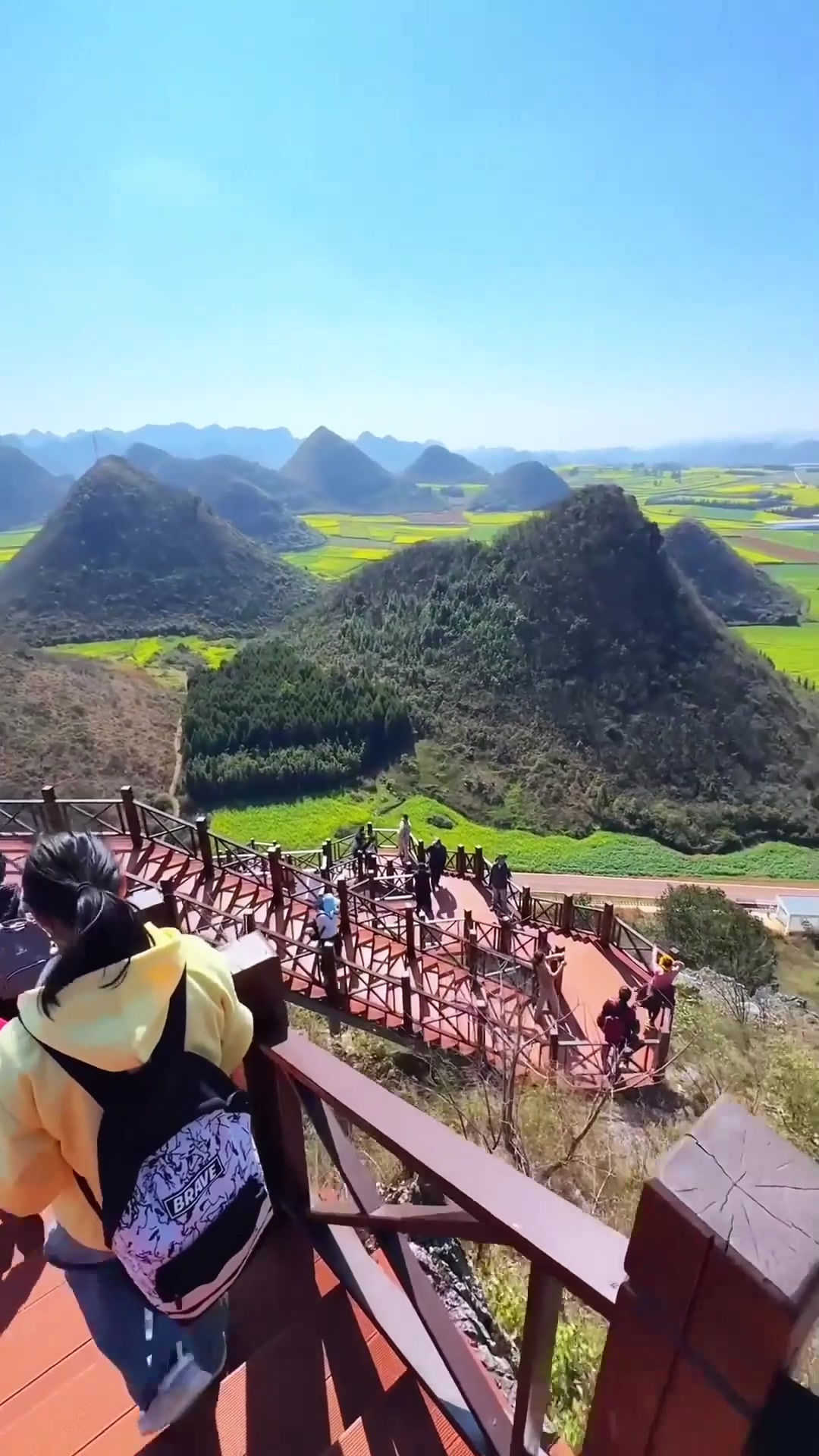 夏日旅行,这个春天总要来一次罗平吧,2025年罗平油菜花即将