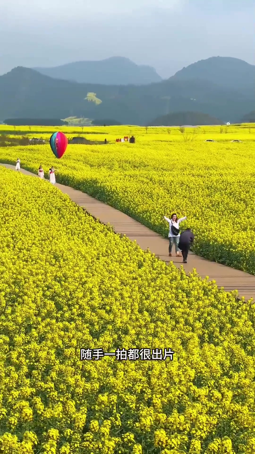 夏日旅行,罗平油菜花迎来了盛花期,给大家推荐一个赏花拍照很美