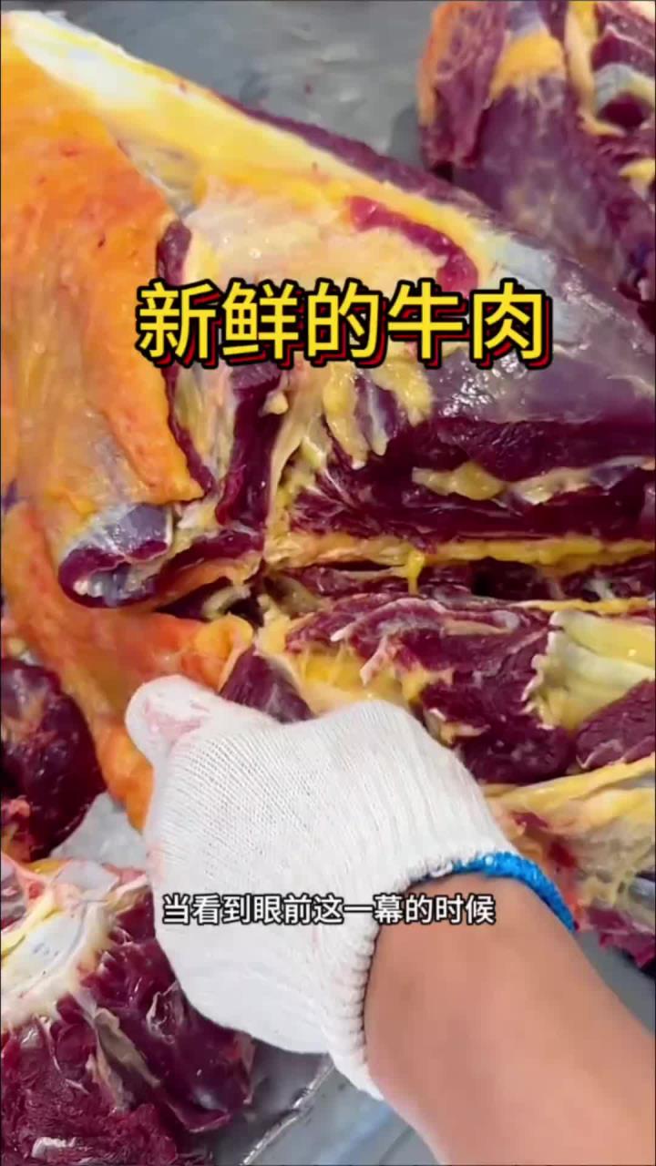 新鲜的牛肉,要500克一公斤呢!
