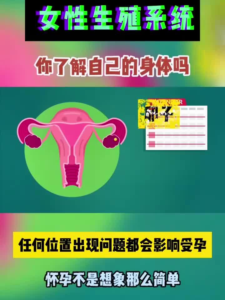 女生生理结构解析,男生们请勿混淆观看