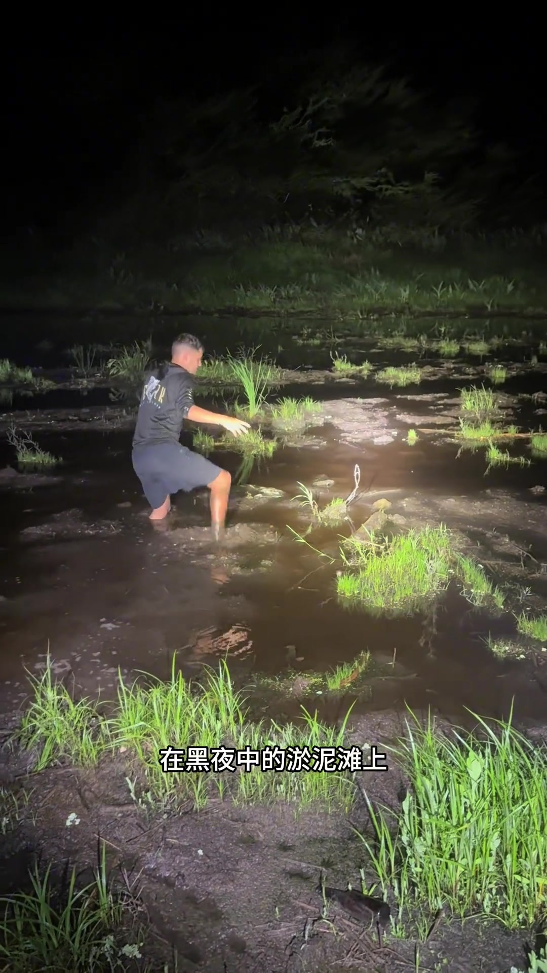 户外捕鱼：黑夜中抓捕藏在淤泥中的鳄鱼！