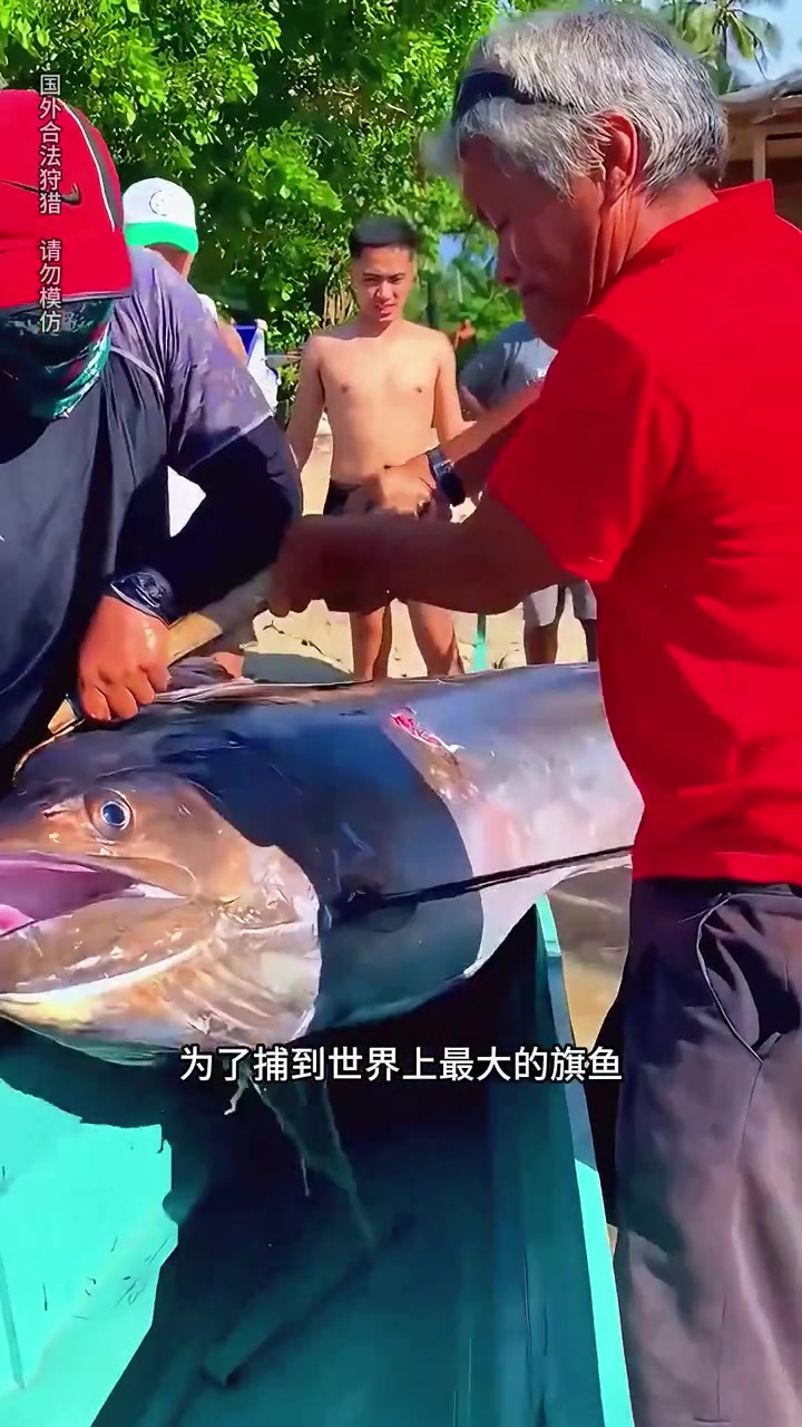 男子集合全村的捕鱼高手,前往大海深处捕捉世界最大的旗鱼!