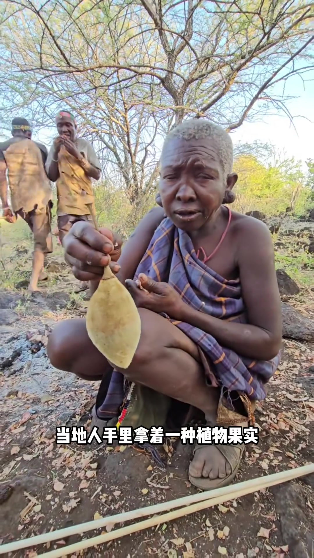 非洲当地人手里拿着一种植物果实，这种果实是猴面包树的果实